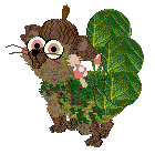 bush