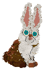 moth