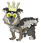 screech