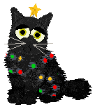 spruce