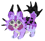 squop