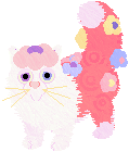 pet