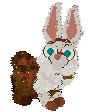 magnolia's pet