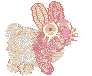 petunia's pet