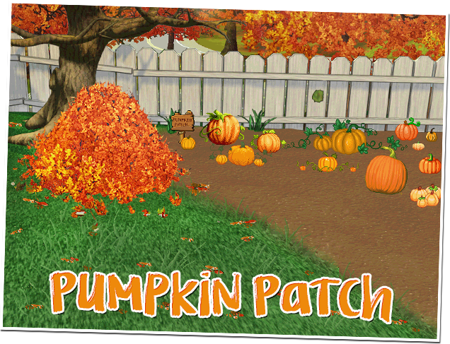 pumpkin patch