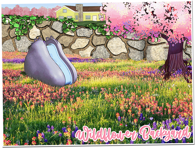 wildflower backyard
